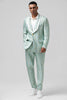 Load image into Gallery viewer, Mint Shawl Lapel One Button 2 Pieces Men&#39;s Suits