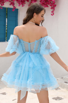 Off the Shoulder Tulle A Line Corset Short Prom Dress