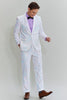 Load image into Gallery viewer, Men&#39;s Slim Fit 2 Piece Suit One Button Notched Lapel Tuxedo